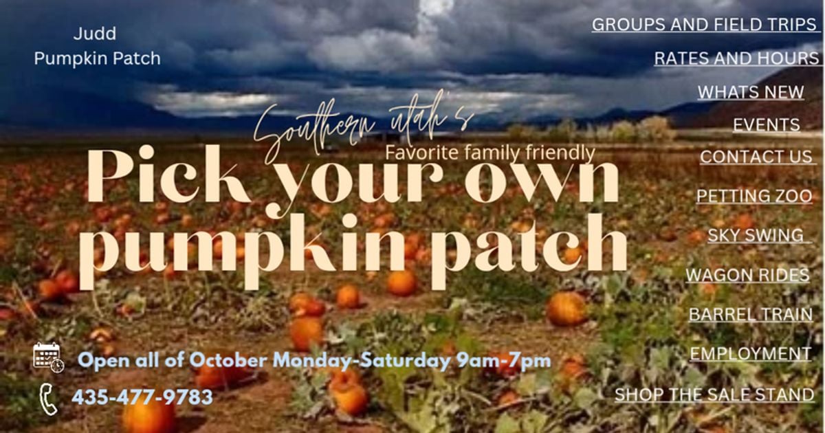Judd Pumpkin Patch cover